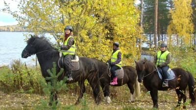 1,5 TUNNIN HEVOSSAFARI