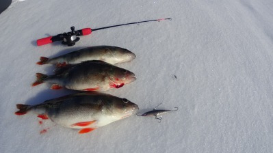 Ice fishing trip
