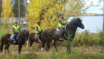 YHDEN TUNNIN HELPPO HEVOSSAFARI