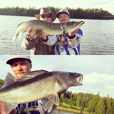 Yksittäinen vapapaikka