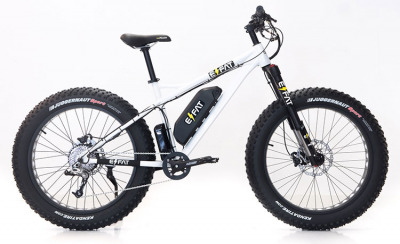 Electric Assist Fat Bike Rental 3 hours/Tahko