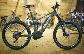 Electric Assist Fat Bike Rental 3 hours/Tahko