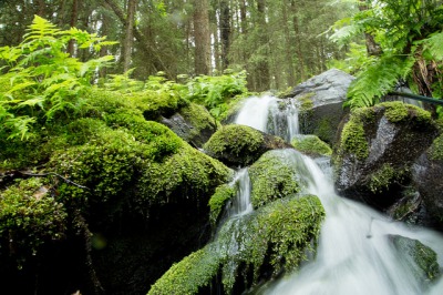 Hiking trip in Tahko