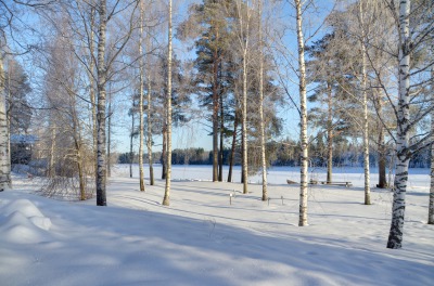 Vuorela, Kumpula ja Harjula 12 hlö